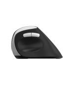 Rapoo EV250 - Image 2