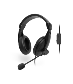 Rapoo H150S